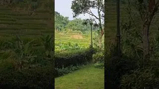 DIJUAL VILLA KOTA BUNGA | 400 METER | 1,9 M (NEGO)