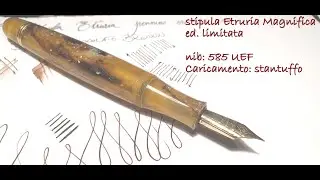 Stipula Etruria Propolis UEF 585 MAGNIFICA ed. limitata