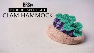 A Safe & Sturdy Home for Your Saltwater Tank&rsquo;s Clams? Brightwell Aquatics Clam Hammock