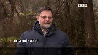 Снова ждём до -20