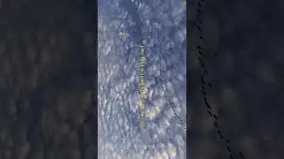 🕊️..                                     #shorts #nature #youtubeshorts #viral #peace