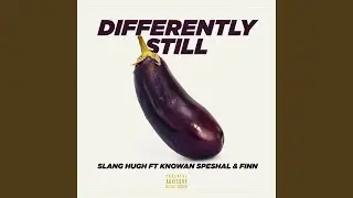 Differently Still Instrumental (feat. Knowan Speshal & Finn Instrumental) (Instrumental)