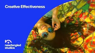 Creative Effectiveness and Best Practices for Brand Videos