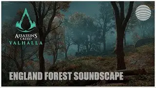 Assassin's Creed Valhalla Ambient Sounds &bull; England Forest