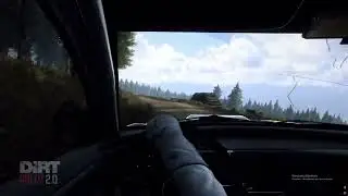 Dirt Rally 2.0 - POV - Subaru Impreza S4 Rally - Newhouse Bridge - 7:43