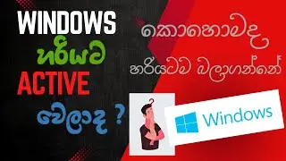 How to Check Genuine Windows & Find Product Key | Windows හරියට active වෙලාද ?