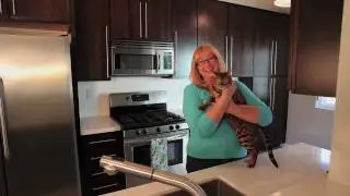 Modwalls Video, ZOEY Out takes