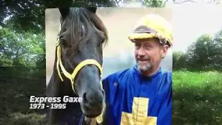 Express Gaxe