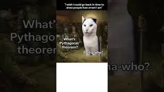 Time Travel Cat Meme   Pythagoras Who #funnyshorts #memes #areyawinning