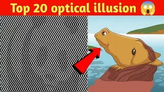 Top 20 Optical illusion 😱|illusion#illusion#trending#facts@CrazyXYZ @MrBeast @MRINDIANHACKER