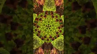 ai multimedia orbital angel_0024