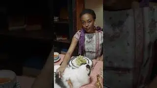 Tip for New Cat Owners: Keep Your Feline's Feeding Area Clean