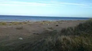 Watching Seals at Blakeney Point, Norfolk UK