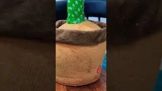 Talking Cactus toy review #youtubeshorts #viral #short #doglover #funny #trending #manojdey