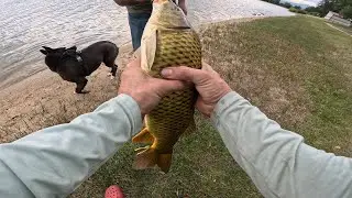 Prospect Lake, CO fishing