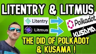 Litentry & Litmus Explained | The DID of Polkadot & Kusama !