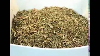 The Uses and benefits of Pheasant&rsquo;s Eye