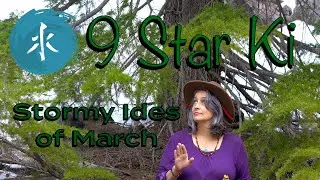 Ides of March Stormy 9 STAR KI n WATER Element #5elements #astrology #energyforecast