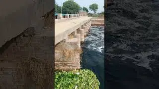 Agra canal ..like and subscribe