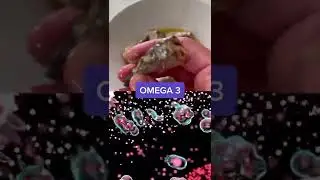 The most nutritious fish type for dogs isn't what you'd expect 👀#dogsoftiktok #doghealth #dogtips