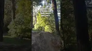 bro #foryou #mtb #viral #newpurchase