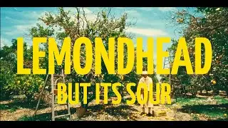 LEMONHEAD BUT ITS SOUR