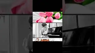 Мои колпжы