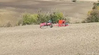 SEMINA GRANO DURO