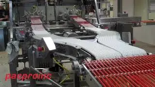 Sliced Deli Meats Dual Starwheel 90 Exit | Pacproinc