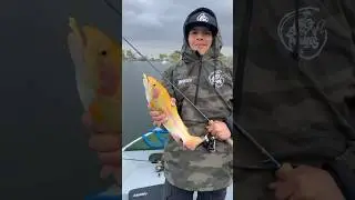 LIGHTNING STRUCK AT LAKE PALMDALE FIN & FEATHER | LAS AVENTURAS DEL @valley_angler #socalfishing