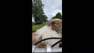 Bike ride to Cluis
