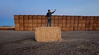 Baling Corn Stalks