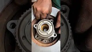 Wheel Bearing Feeding! #rxmechanic  #brakedisc #discbrake #wheelbearing