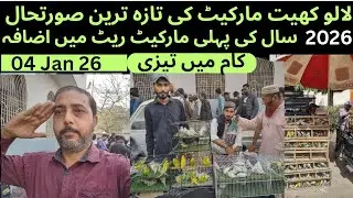 Lalukhet Sunday Birds Market Latest Update 4 January26 Complete Information Sunday Market Asif Birds
