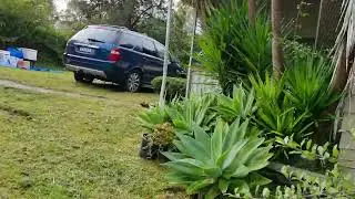 A1 Pest Control Asquith End of Lease Flea Treatment