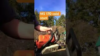 Stihl MS 170 Chainsaw #stihl #chainsaw #stihlpower ￼