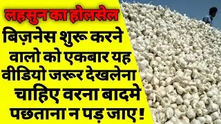 लहसुन का होलसेल बिज़नेस कैसे करें | How to start garlic wholesale business | garlic ka business | ASK