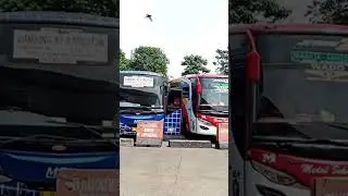 Bus MGI jakarta-Bandung Terminal leuwipanjang dari terminal kp rambutan #shorts