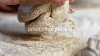 Dustcontrol Healthy Business