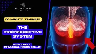 Free 30 Minute Training: The Proprioceptive System