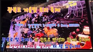 쇼윈도에 비친 빛, 상상이 시작되는 밤 / 2025 광복로 겨울빛 트리축제