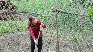 Hard work it&rsquo;s rain, make bean trellis - Farming, animals, cooking