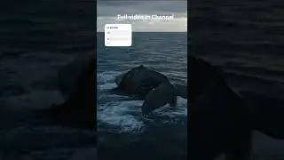 🌊🌊we got it (sos) singnal🐳🐳