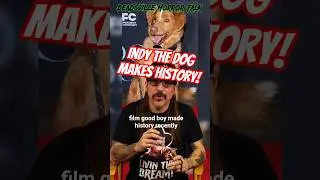 Indy the Dog makes history #goodboymovie #indythedog #history