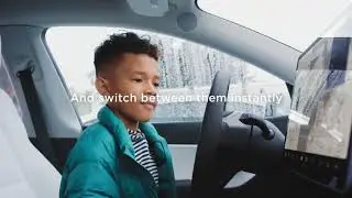 Tesla Driver Profiles