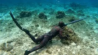 Spearfishing trip in cuatro islas (overnight) Catch &cook ||SPEARFISHING PHILIPPINES  #spearfishing 