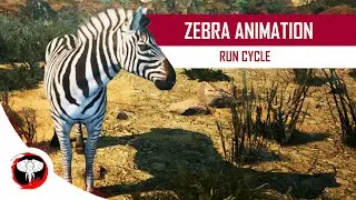 Animalia Survival | Zebra Run Animation