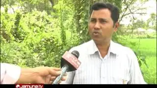 Rice Adulteration