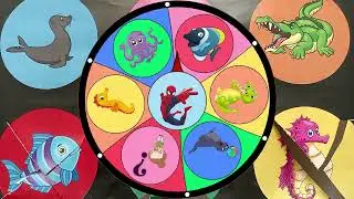 Spinning Wheel Game Is This Sea Animal?