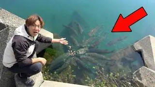 【衝撃映像】誰も思いつかない天才的な釣りしてみたらヤバすぎた。